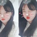 덮집회의 이미지