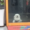 청라큰사랑약국 이미지