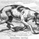 인수약국 이미지