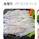 통영아귀찜 | 수영 맛집 아구찜 신통영굴국밥 호래기 솔직후기