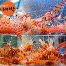 새우일 산소 이미지