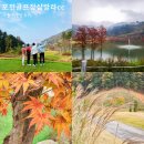 진하스크린골프 | 포천 골프장 샴발라cc 가을 라운딩 후기