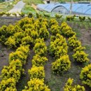 구안농장 이미지