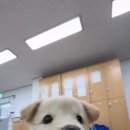 진도군청 이미지