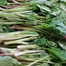 미옥농장 이미지