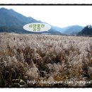 성현1농장 이미지