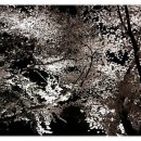 정진발전소 이미지