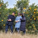 야베스 농장 이미지