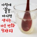 아침에 &#39;꿀물&#39; 마시면 생기는 놀라운 변화 9가지 이미지