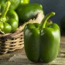 피망 이미지