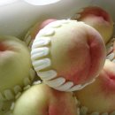 태기농장 이미지