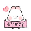버니아쿠아