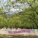 휴림펜션B | 그늘 계곡캠핑장, 가평 휴림펜션오토캠핑장