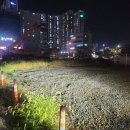 투썸플레이스 대전학하점 네이버블로그