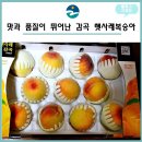 감곡농장 이미지