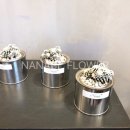 사파동366 이미지