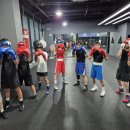 복싱피스트 이미지