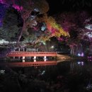 광한루의 밤풍경 이미지