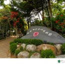 송이테마공원 주차장 이미지