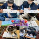 에이블플랜 이미지