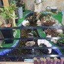 거제기상관측소 이미지