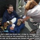 동물을사랑하는사람들 이미지