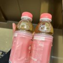 24년 5월 둘째주 기록