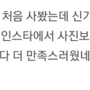 모아플라워 이미지