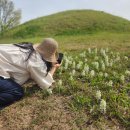 대경소머리곰탕 함안1호점 | 함안 군민의 날, 흰조개나물