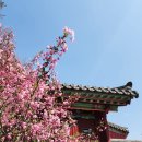 구례 사성암⛰️ 하늘 위 절벽 암자에서 만난 고요한 시간 | 구례·하동 2박 3일 여행기✨