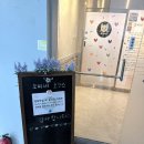 모찌네호캉스 | 분당 상주견 많은 애견카페 강아지호텔 모찌네호캉스 다녀왔어요🩷