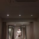몽드지니