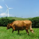 동서목장 이미지