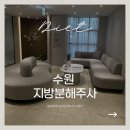 단비의원 | [수원 지방분해주사] 승마살과 앞벅지 라인 정리를 위한 1회차 방문 기록과 솔직 후기