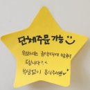 레냐샌드 이미지