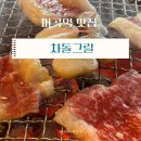 그릴에 고기 | 마곡역 맛집 고기집 : 차돌그릴 마곡 후기