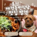 대박PC | [행운반점]포천 고모리 돌짜장 맛집 애견동반 식당 추천