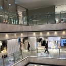 파피루스 안경원 | 명동 안경) 파피루스 롯데백화점 크롬하츠 안경, 자크 마리 마지 안경 후기