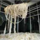 봉산문화거리 아트시 이미지