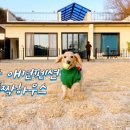 폴짝하우스 이미지