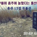 - 제42차 2월 시산제산행- 울산 광역시 북구 무룡산[452m] 공지 이미지