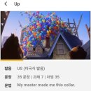 온라인)생활영어회화 중급 이미지