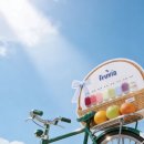 비아장터 이미지