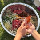 엄마 나 KBO 박제 당했어. | 창원NC파크 랜덤비빔밥 후기