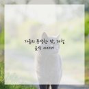 건강한 제철요리 이미지