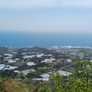 군산담다 이미지