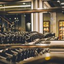 비다펠리즈 이미지