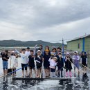 비금동초등학교 더코리아