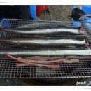 화심장어 이미지