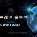 브레인솔루션